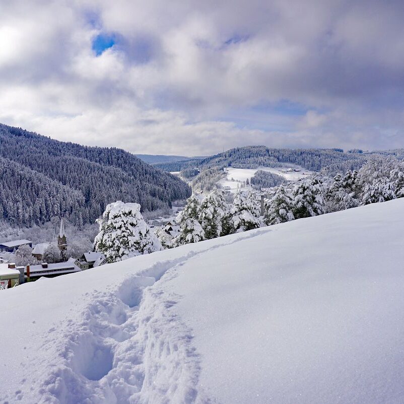 Tennenbronn Schnee 15.01.2021 23
