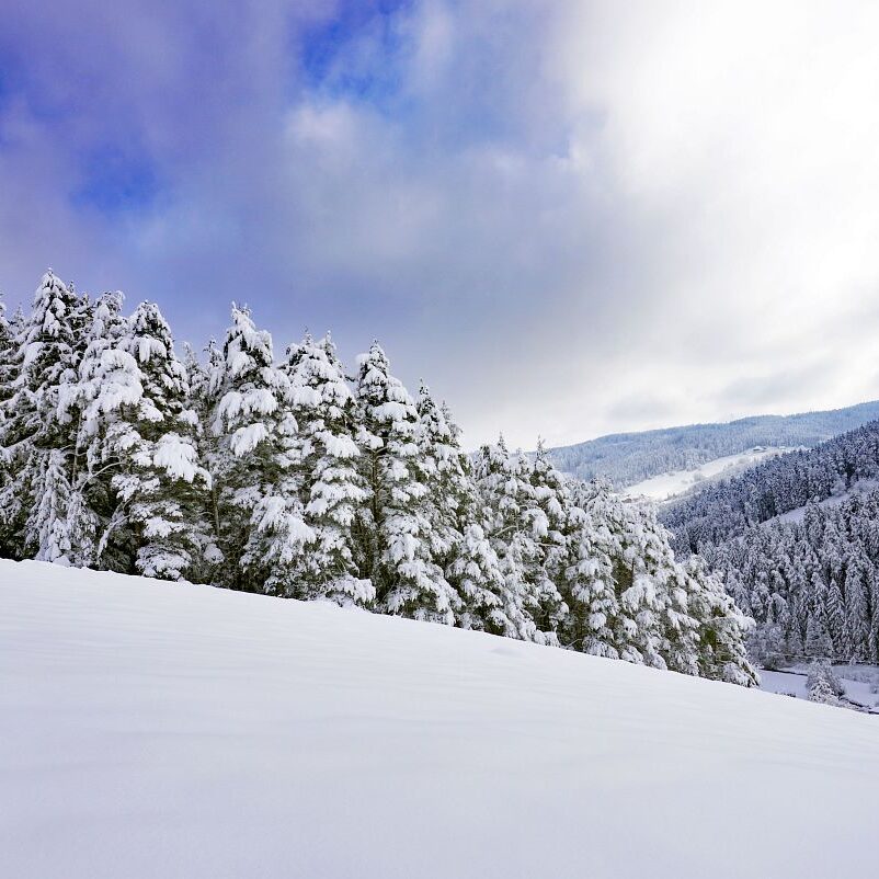 Tennenbronn Schnee 15.01.2021 24