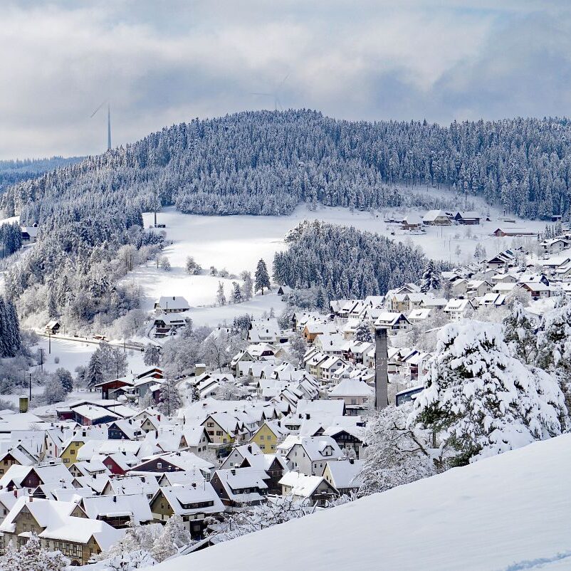 Tennenbronn Schnee 15.01.2021 25