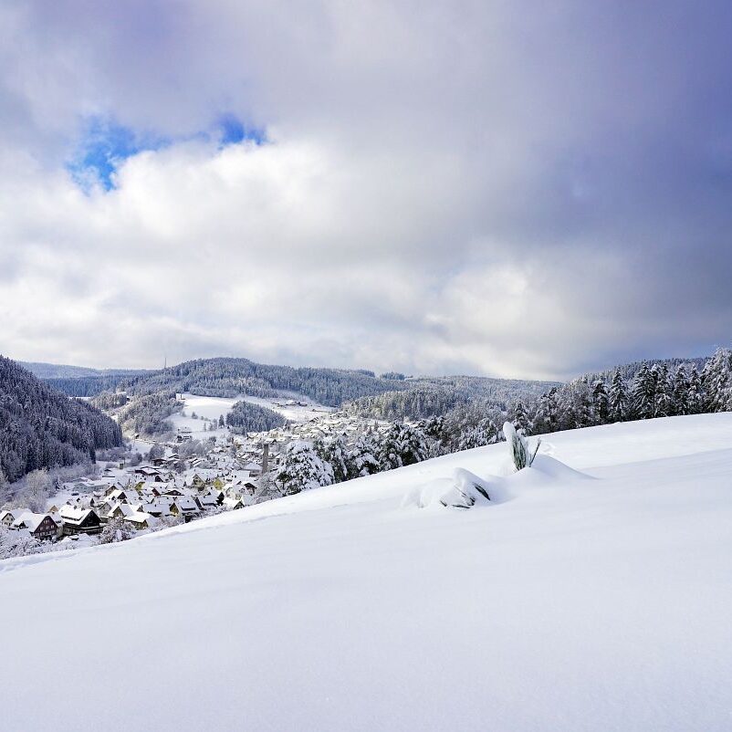 Tennenbronn Schnee 15.01.2021 26