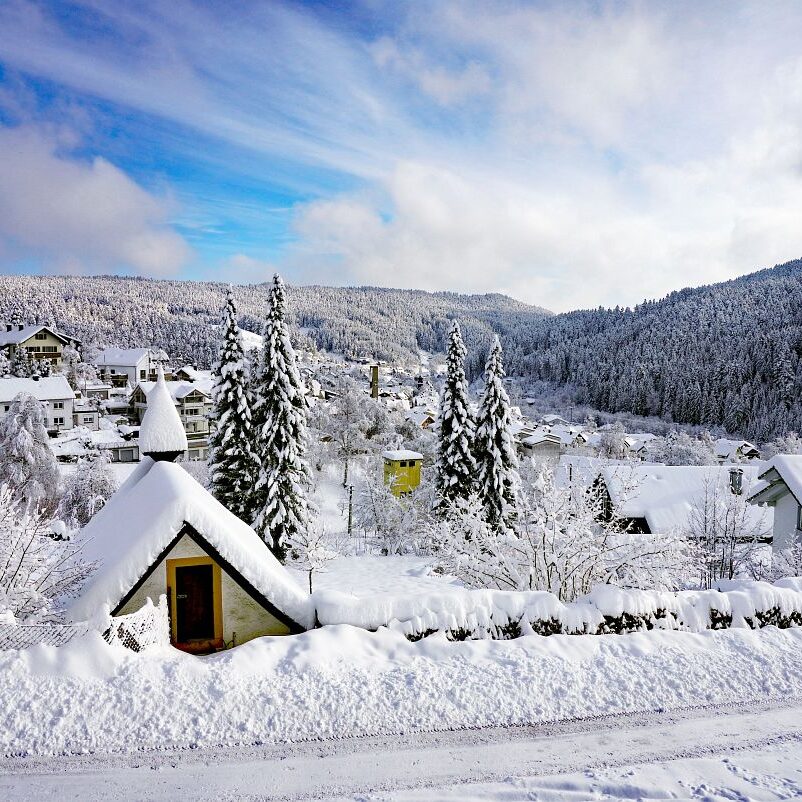 Tennenbronn Schnee 15.01.2021 3