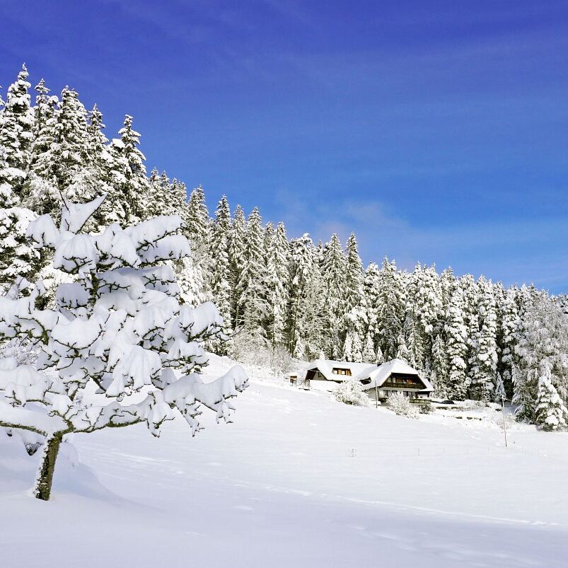 Tennenbronn Schnee 15.01.2021 5
