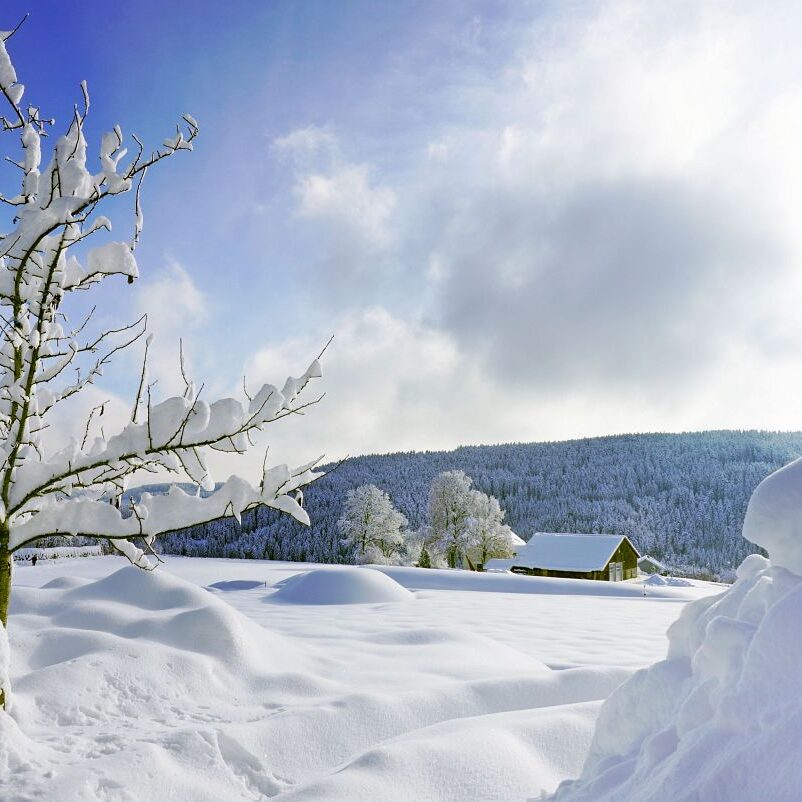 Tennenbronn Schnee 15.01.2021 8
