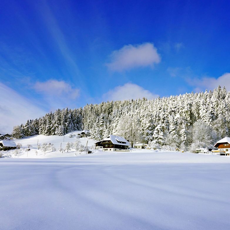 Tennenbronn Schnee 15.01.2021 9