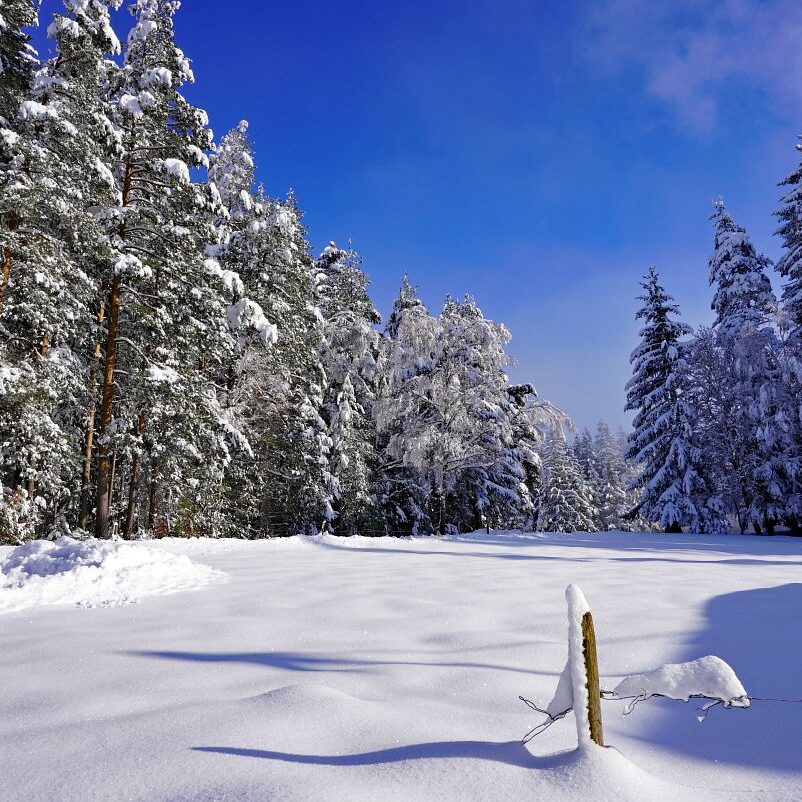 Tennenbronn Schnee 16.01.2021 11
