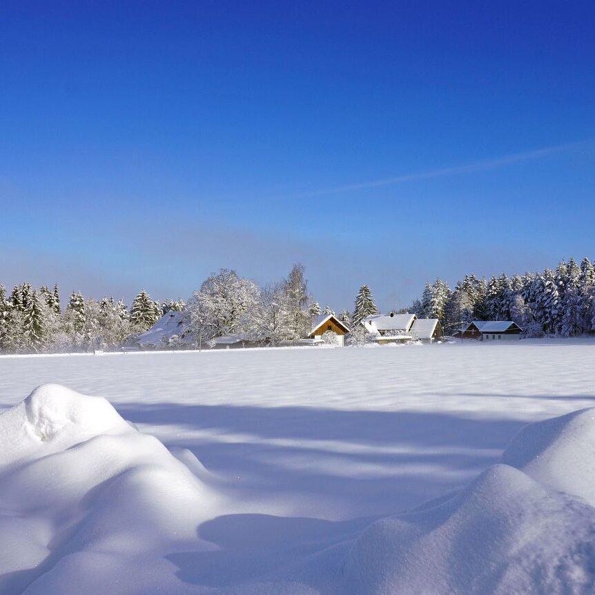 Tennenbronn Schnee 16.01.2021 12