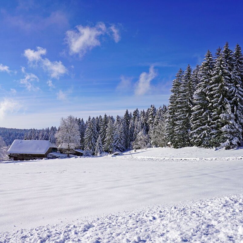 Tennenbronn Schnee 16.01.2021 13