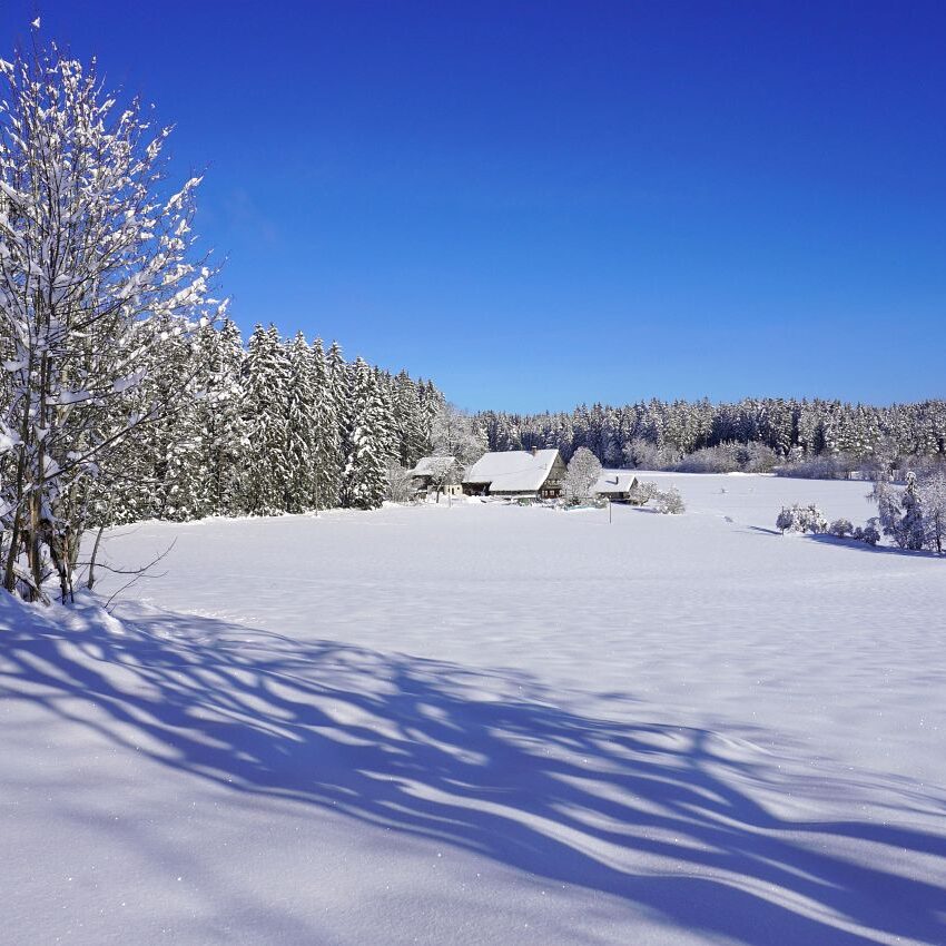 Tennenbronn Schnee 16.01.2021 14