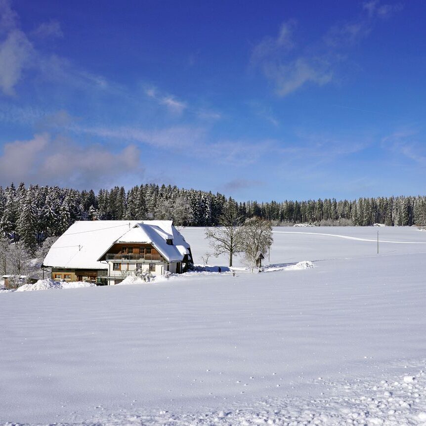Tennenbronn Schnee 16.01.2021 16
