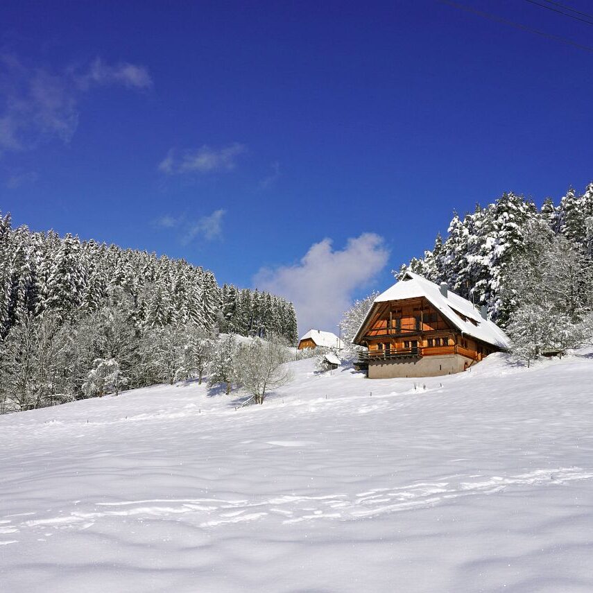 Tennenbronn Schnee 16.01.2021 18
