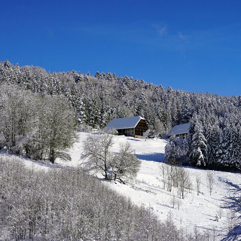 Tennenbronn Schnee 16.01.2021 19