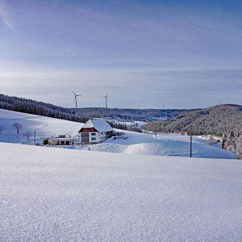 Tennenbronn Schnee 16.01.2021 21
