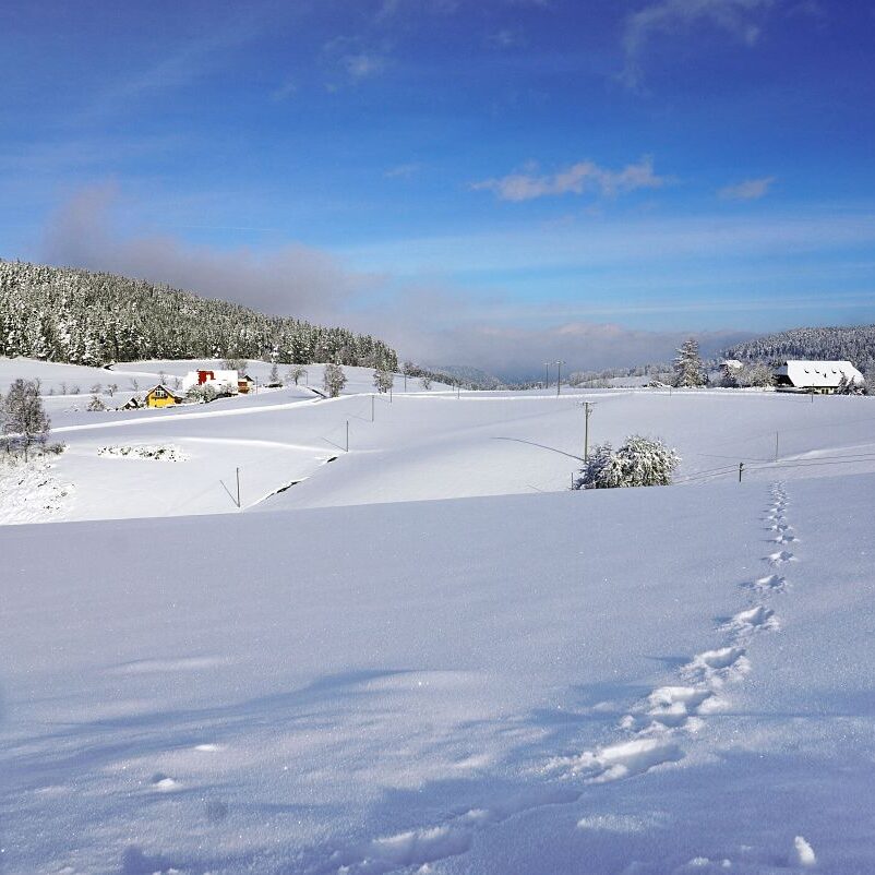 Tennenbronn Schnee 16.01.2021 22