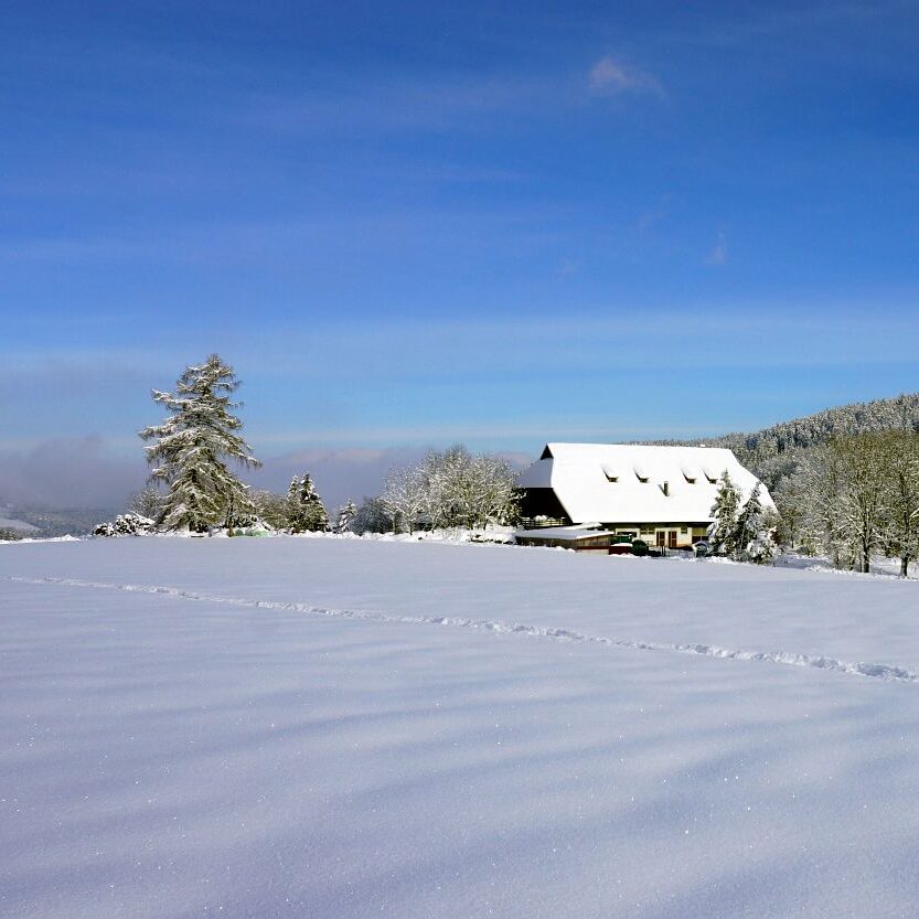 Tennenbronn Schnee 16.01.2021 23