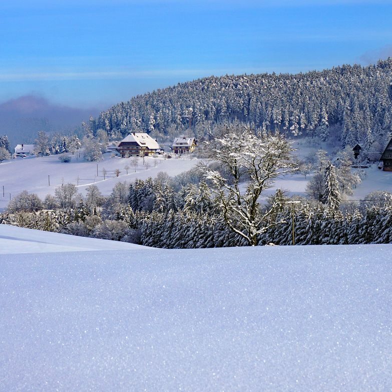 Tennenbronn Schnee 16.01.2021 24