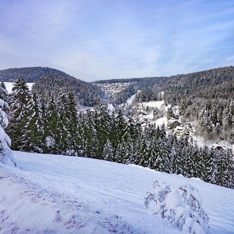 Tennenbronn Schnee 16.01.2021 26