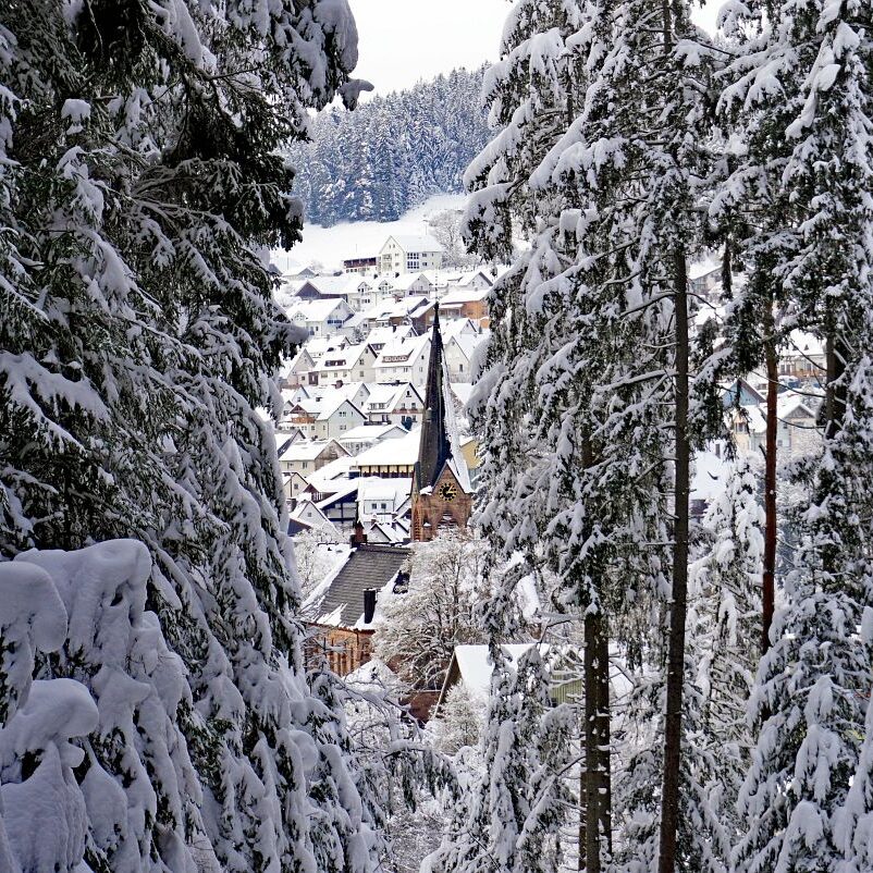 Tennenbronn Schnee 16.01.2021 27