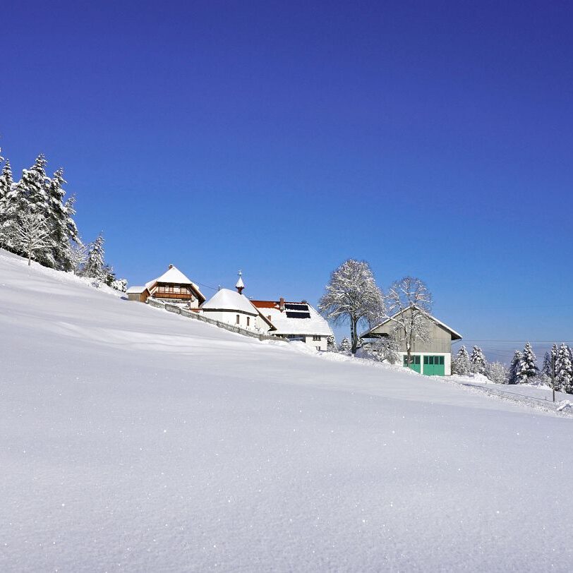 Tennenbronn Schnee 16.01.2021 4