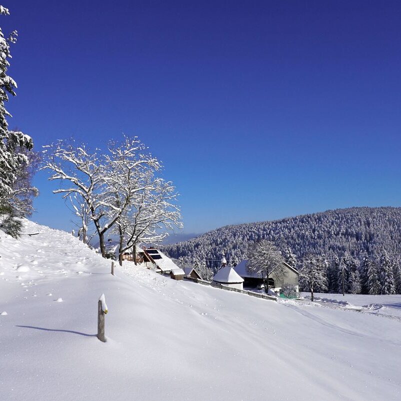 Tennenbronn Schnee 16.01.2021 5