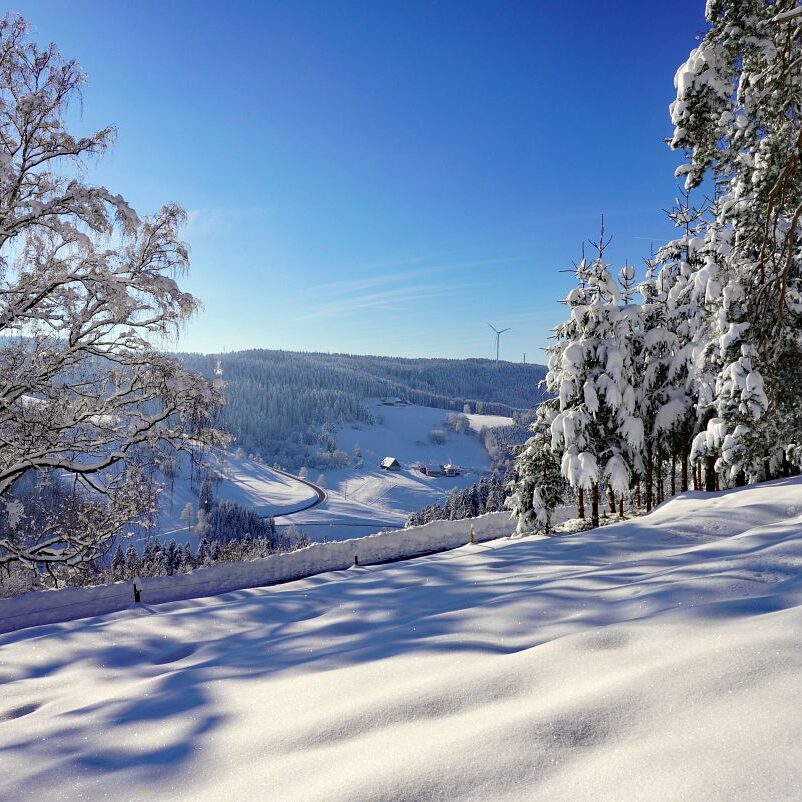 Tennenbronn Schnee 16.01.2021 6