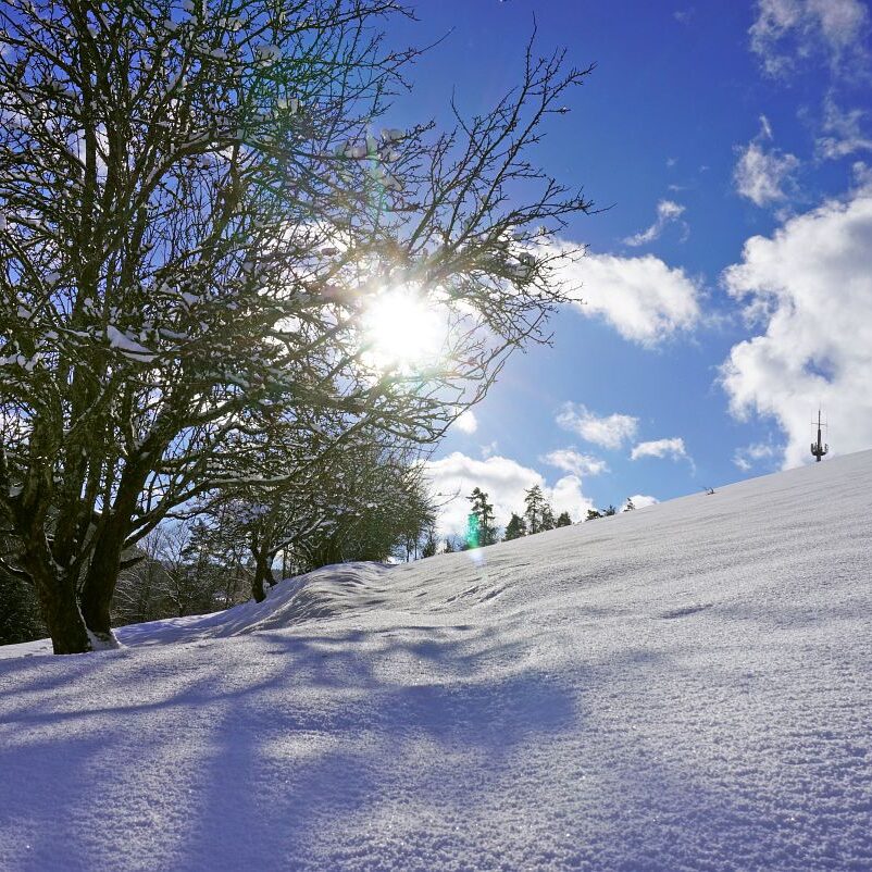 Tennenbronn Schnee 24.01.2021 1