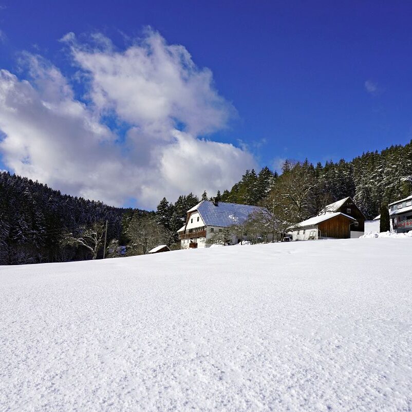 Tennenbronn Schnee 24.01.2021 10
