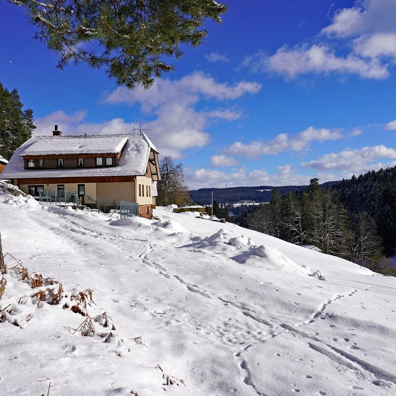 Tennenbronn Schnee 24.01.2021 12