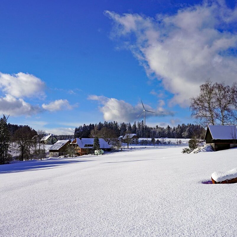 Tennenbronn Schnee 24.01.2021 13