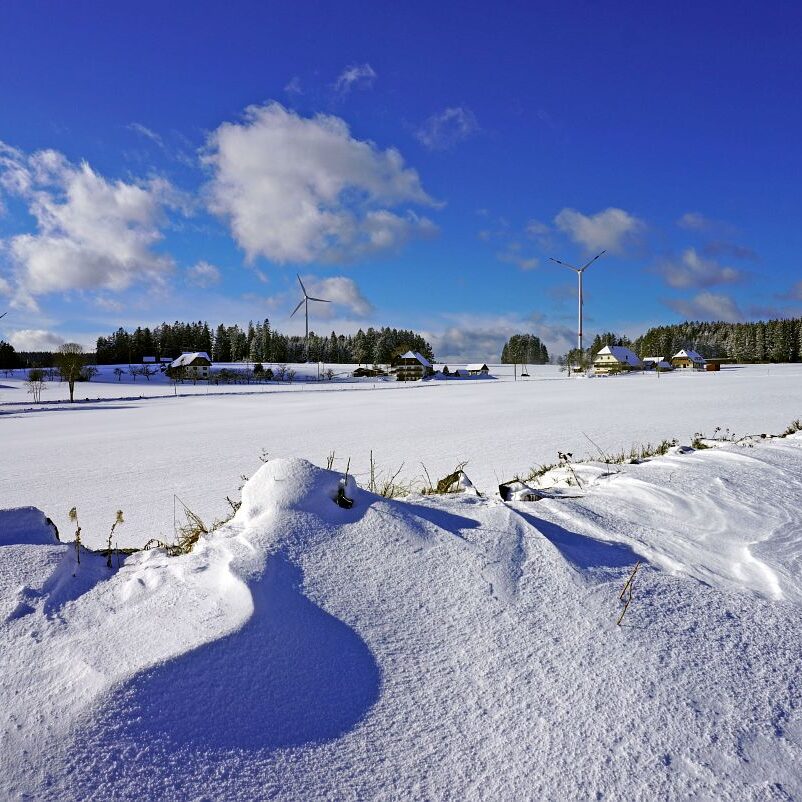 Tennenbronn Schnee 24.01.2021 15