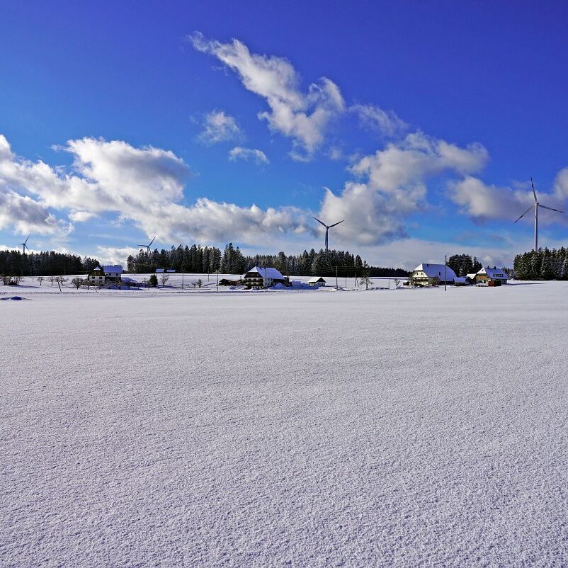 Tennenbronn Schnee 24.01.2021 16