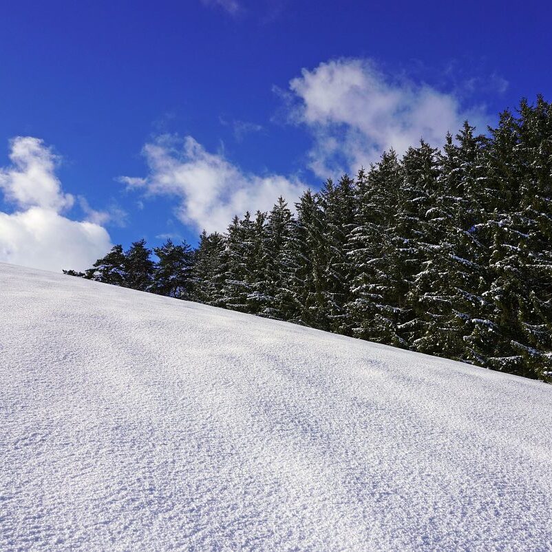 Tennenbronn Schnee 24.01.2021 2