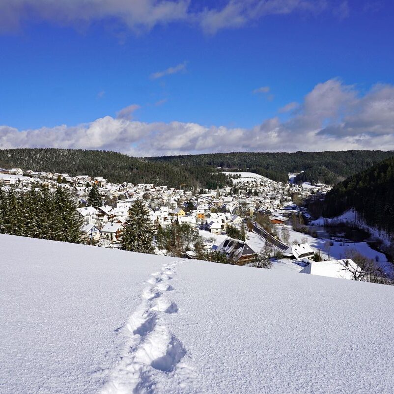Tennenbronn Schnee 24.01.2021 4