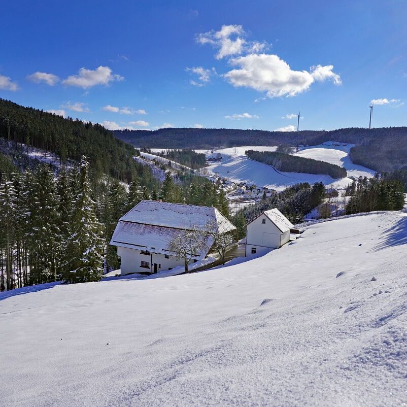 Tennenbronn Schnee 24.01.2021 5