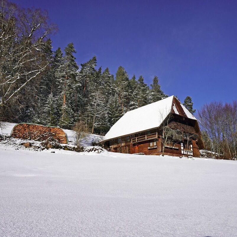 Tennenbronn Schnee 24.01.2021 7
