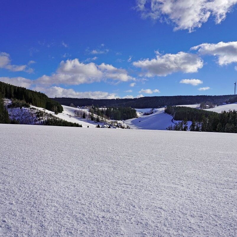 Tennenbronn Schnee 24.01.2021 8