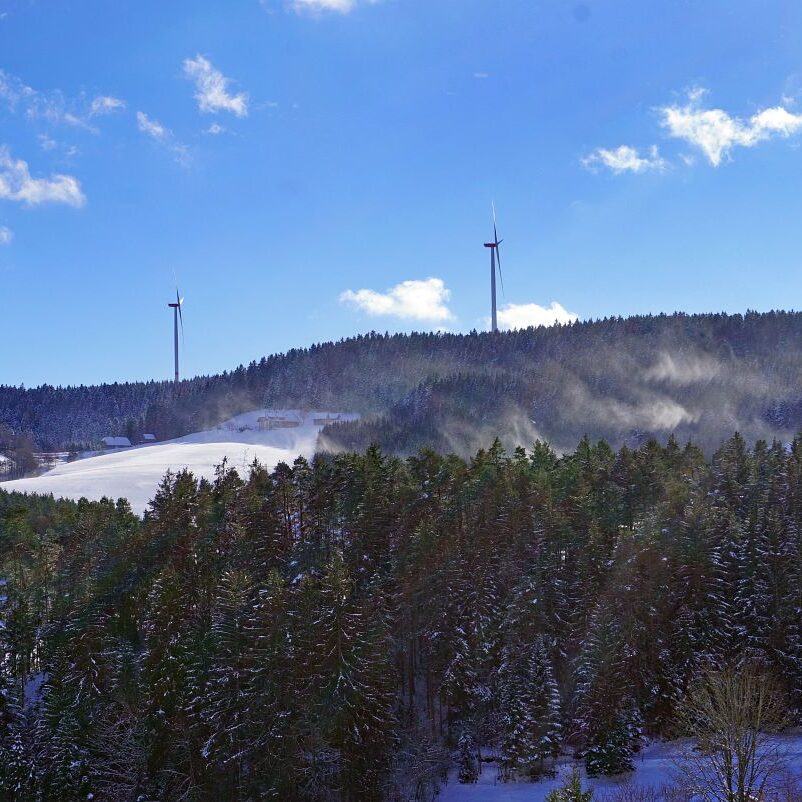 Tennenbronn Schnee 24.01.2021 9