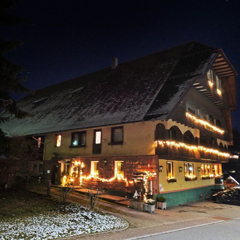 Tennenbronn bei Nacht 20