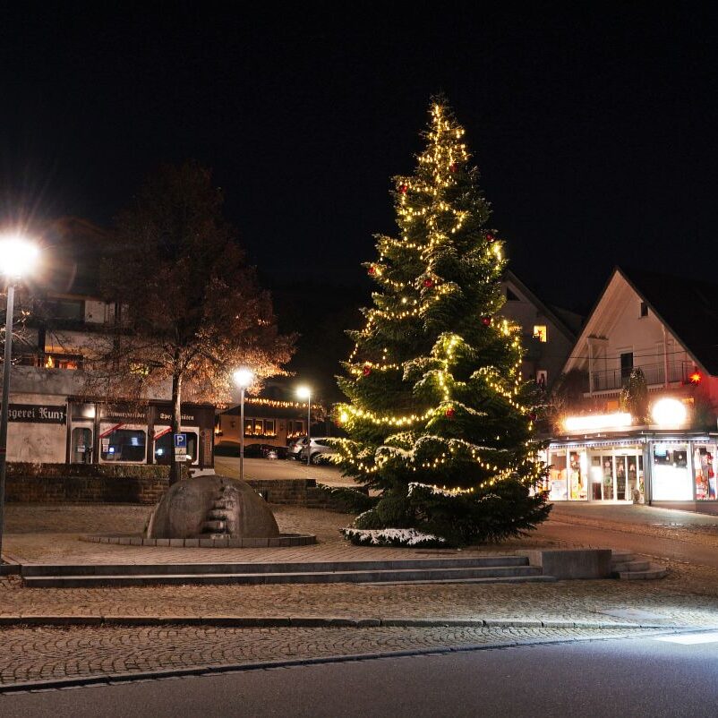 Tennenbronn bei Nacht 6