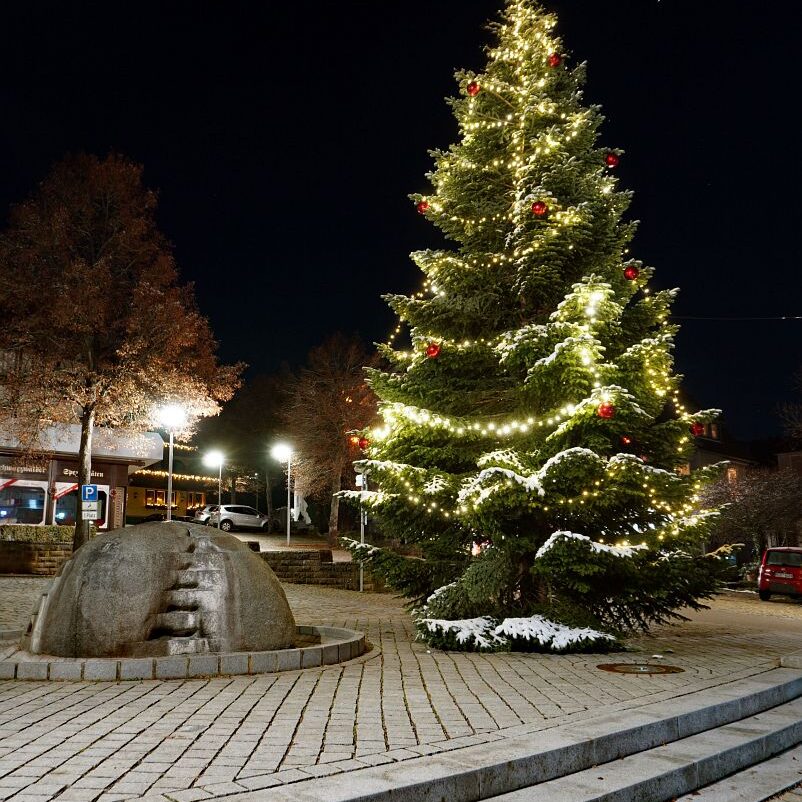 Tennenbronn bei Nacht 7
