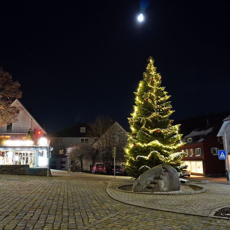 Tennenbronn bei Nacht 8