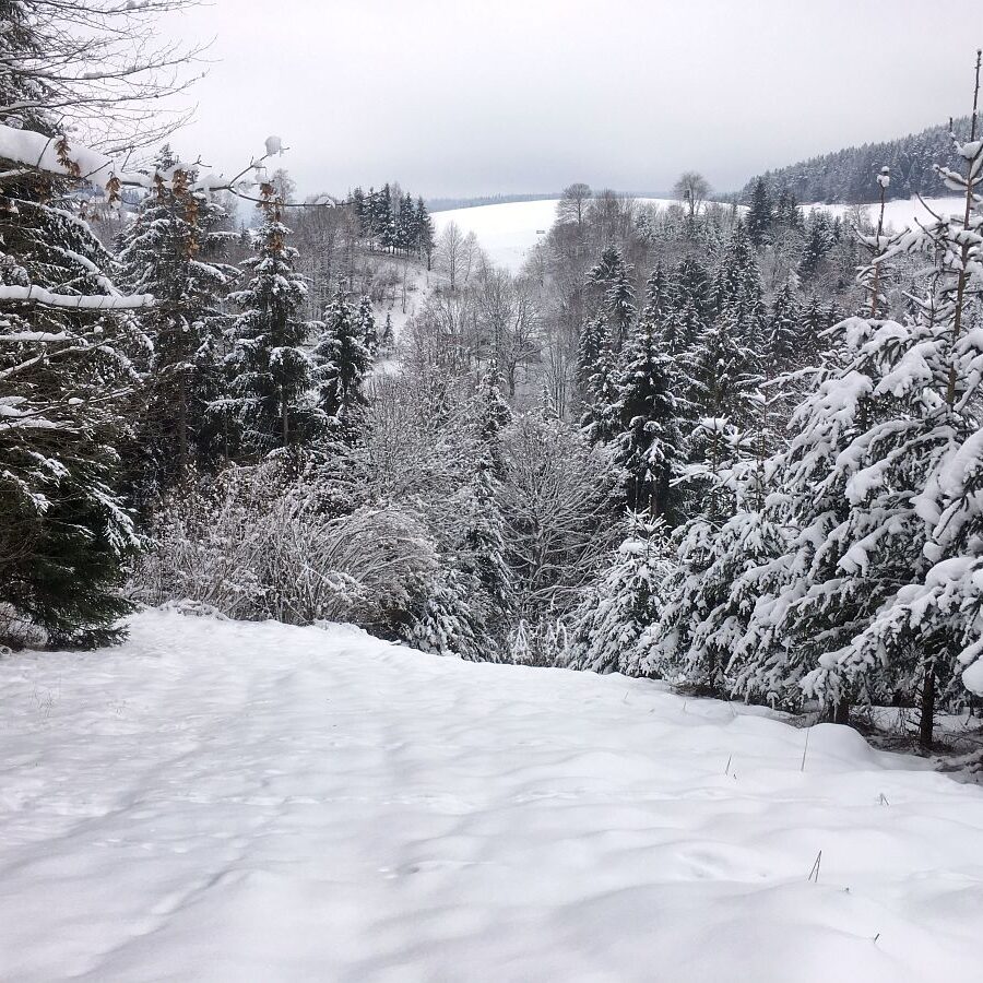Tiefschnee Skifahren Tennenbronn 1