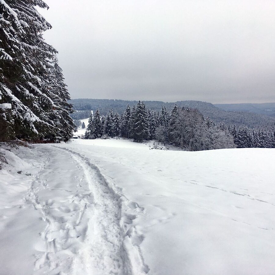 Tiefschnee Skifahren Tennenbronn 2
