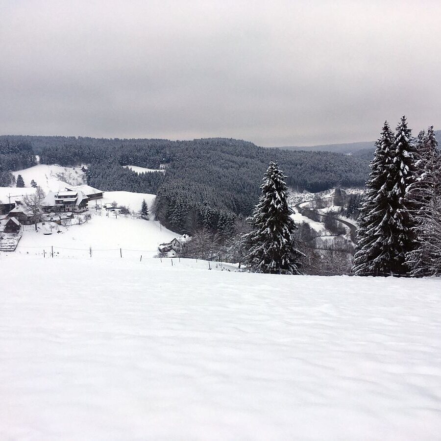 Tiefschnee Skifahren Tennenbronn 3