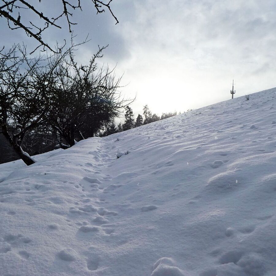 Tiefschnee Skifahren Tennenbronn 4