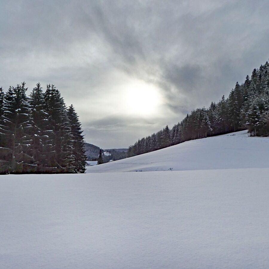 Tiefschnee Skifahren Tennenbronn 8