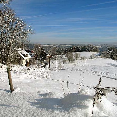 Trombach im Winter