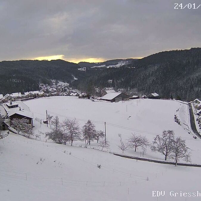 Webcam Auf dem Berg Tennenbronn 1