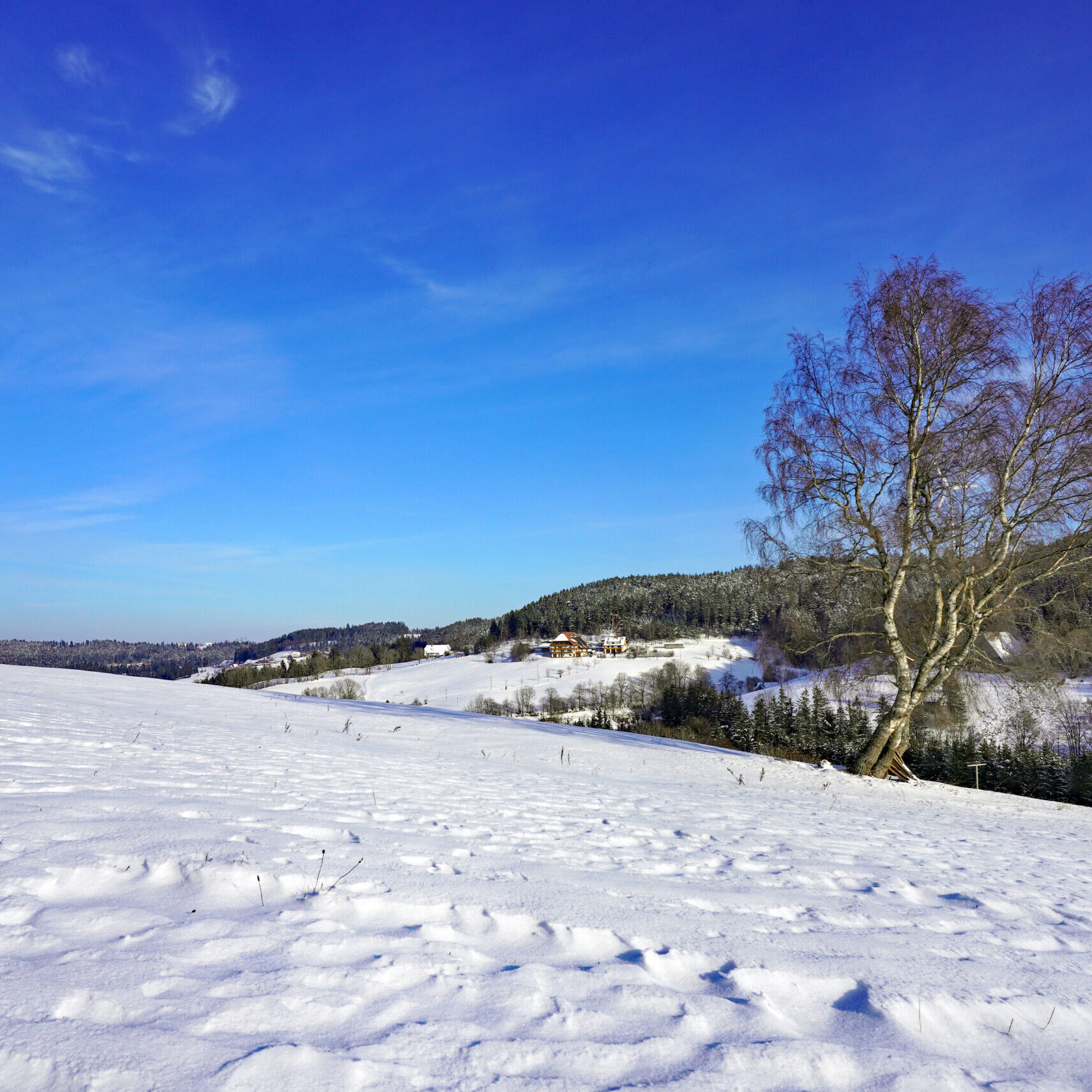 10Mittelbergrunde Tennenbronn im Winter 14