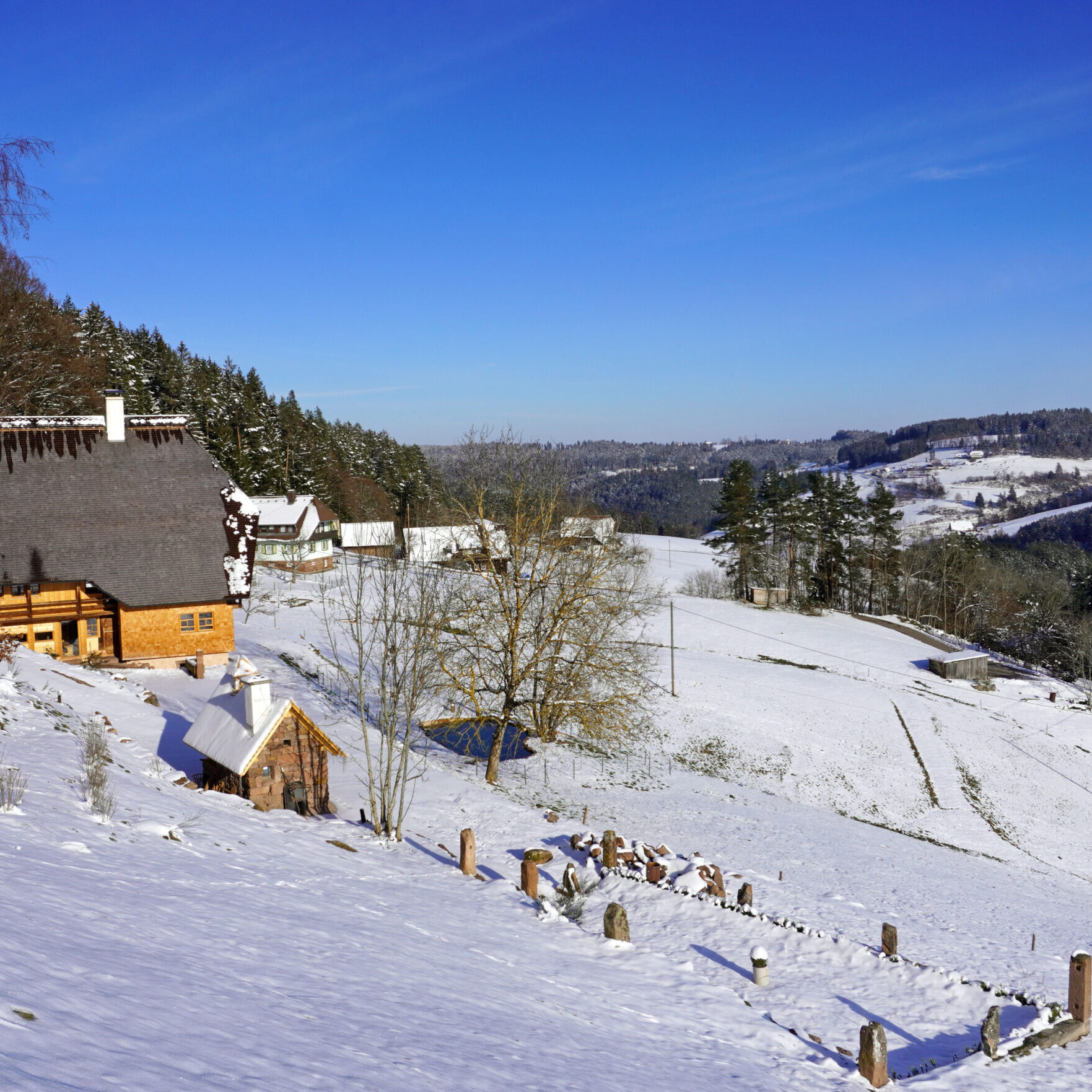 1Mittelbergrunde Tennenbronn im Winter 5