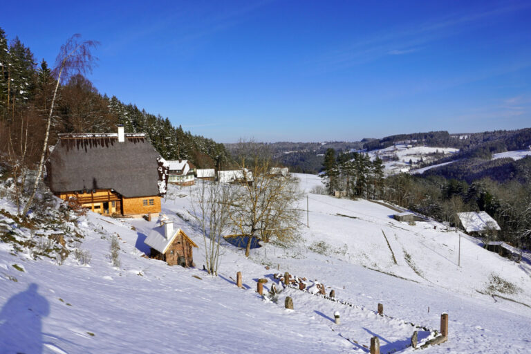 1Mittelbergrunde Tennenbronn im Winter 5